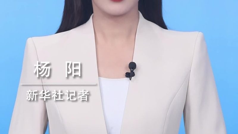 企业数字化咨询公司代理费用